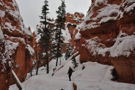 Caminhando entre as torres de rocha na parte baixa do Bryce Canyon National Park, em Utah, nos Estados Unidos